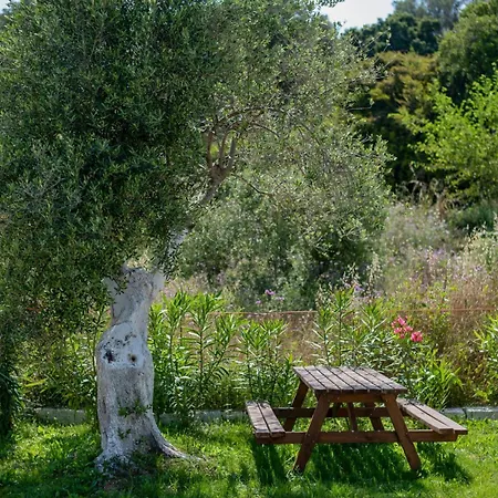 Villa Memi