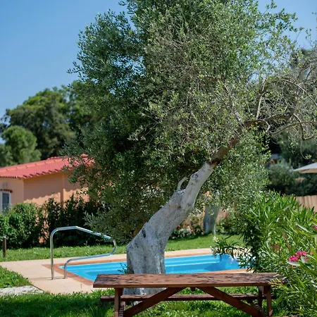 Memi וילה